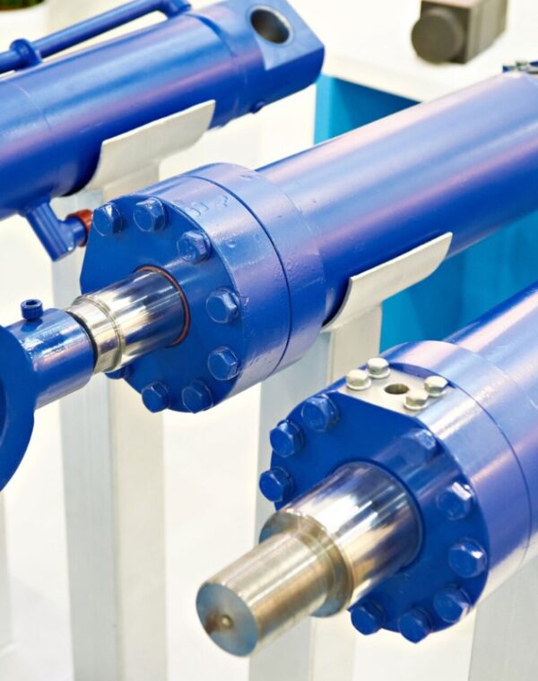 WhatsApp Image 2025-10-09 at 11.14.57 AM (2)