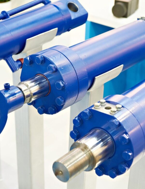 WhatsApp Image 2025-10-09 at 11.14.57 AM (2)